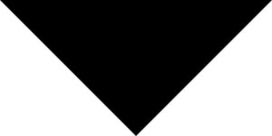 black-arrow-down black-arrow-down