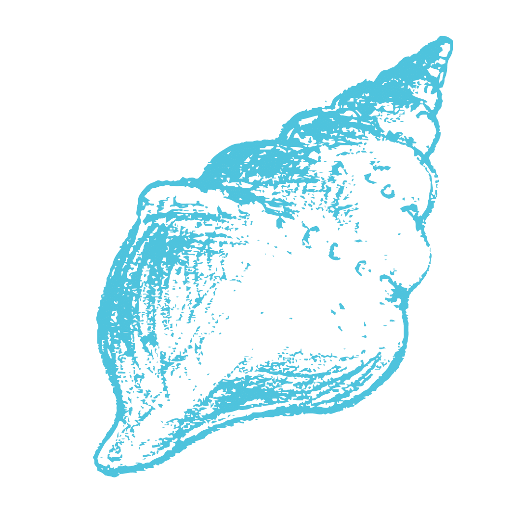 27b 27b