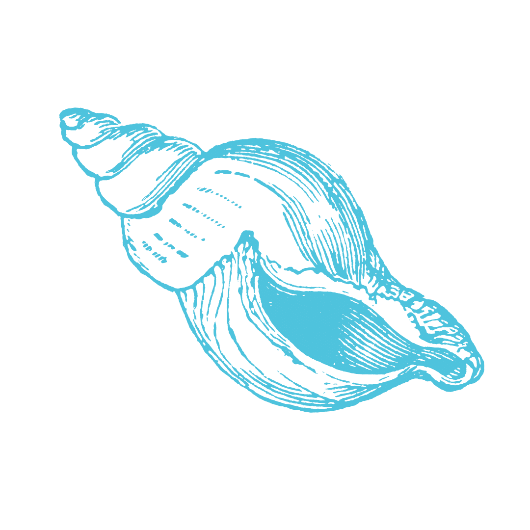 28b 28b