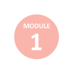 module1 Module 1 alternativf Melbourne