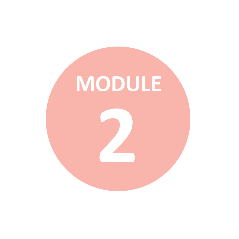 module2 Module 2 alternativf Melbourne