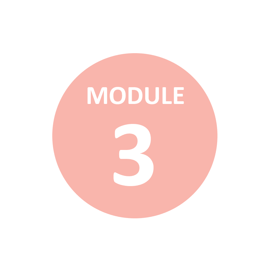 module3 Module 3 alternativf Melbourne
